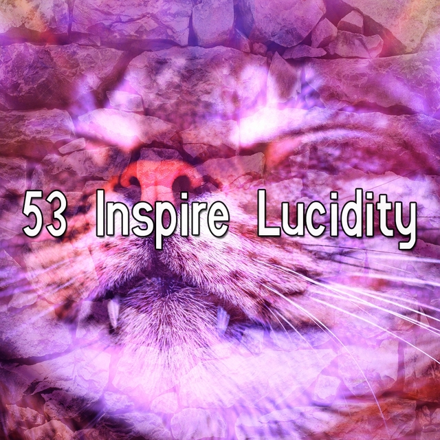 53 Inspire Lucidity