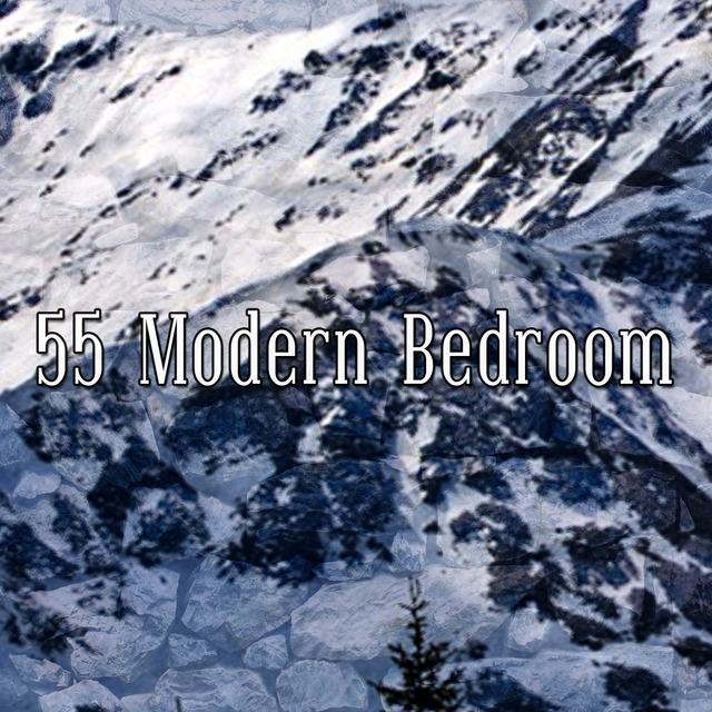 55 Modern Bedroom