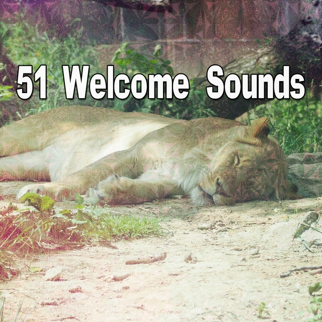 Couverture de 51 Welcome Sounds