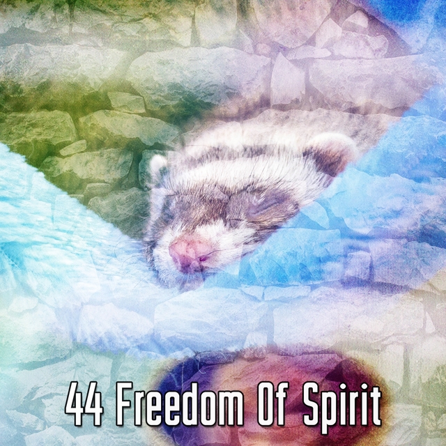 44 Freedom Of Spirit