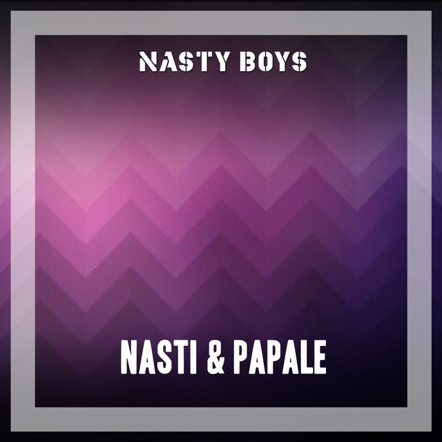 Couverture de Nasty Boys