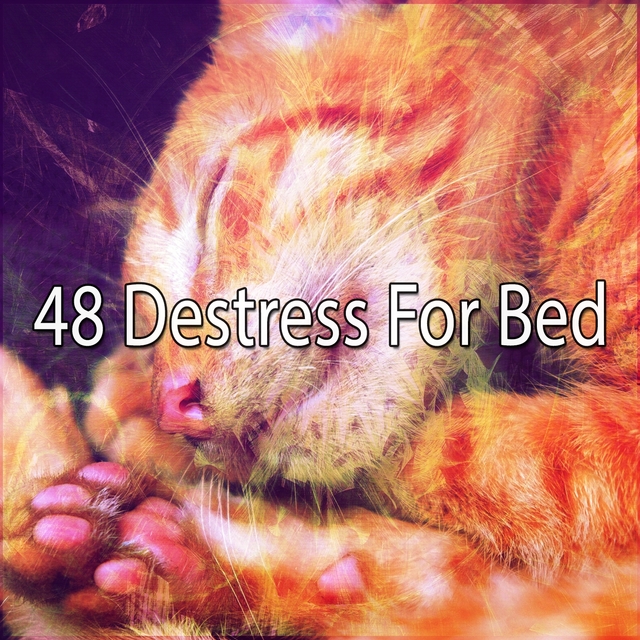 48 Destress For Bed