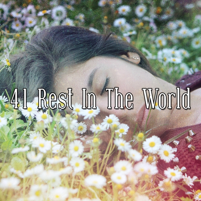 Couverture de 41 Rest In The World