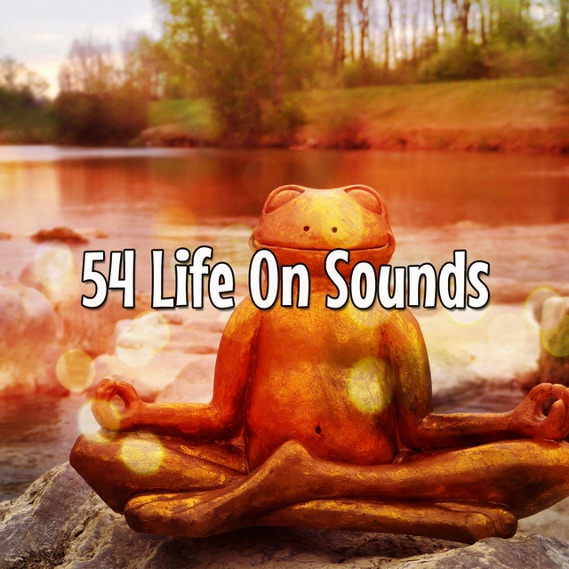 54 Life On Sounds