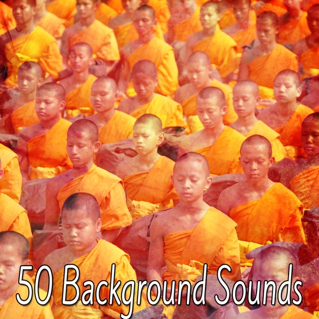 Couverture de 50 Background Sounds