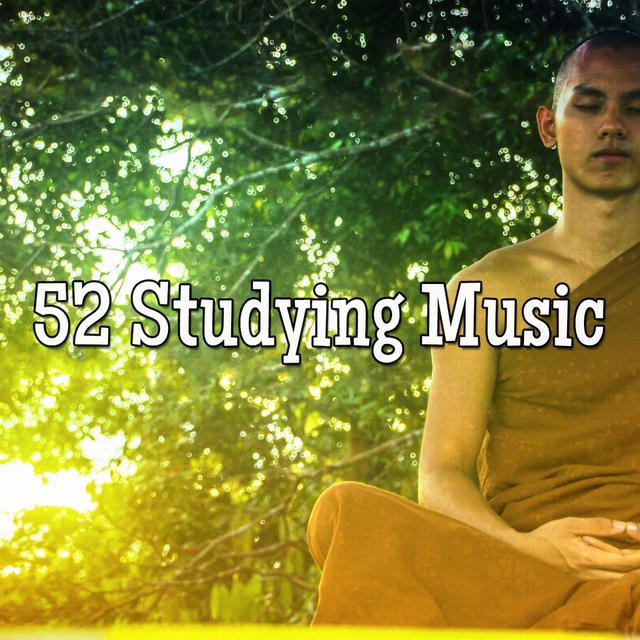 52 Studying Music