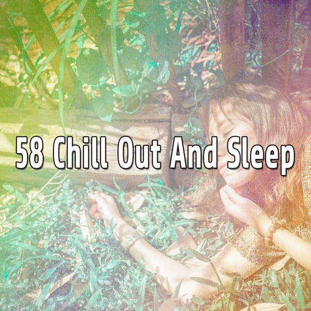 Couverture de 58 Chill Out And Sleep