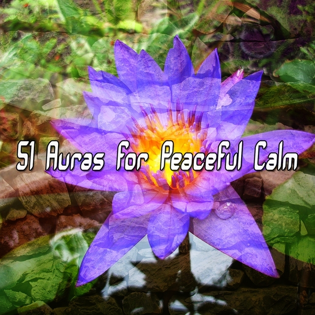 51 Auras For Peaceful Calm