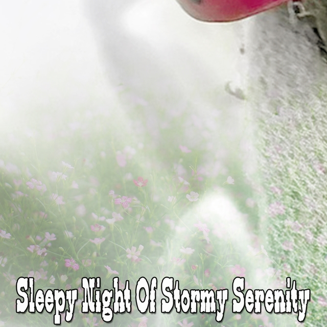 Sleepy Night Of Stormy Serenity