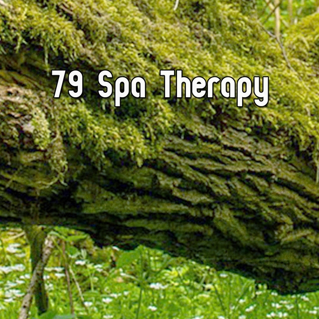 Couverture de 79 Spa Therapy