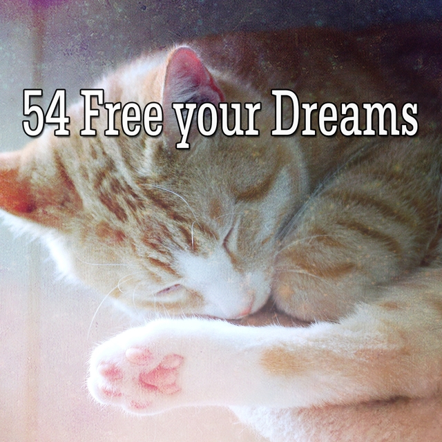 Couverture de 54 Free your Dreams