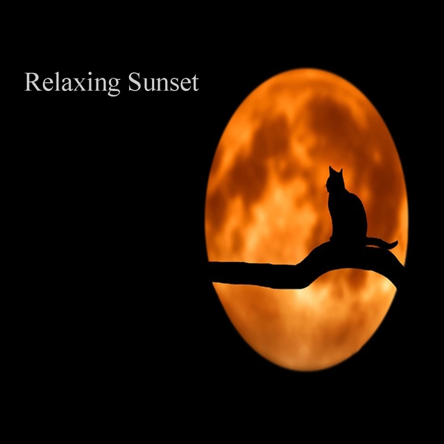 Couverture de Relaxsing Sunset