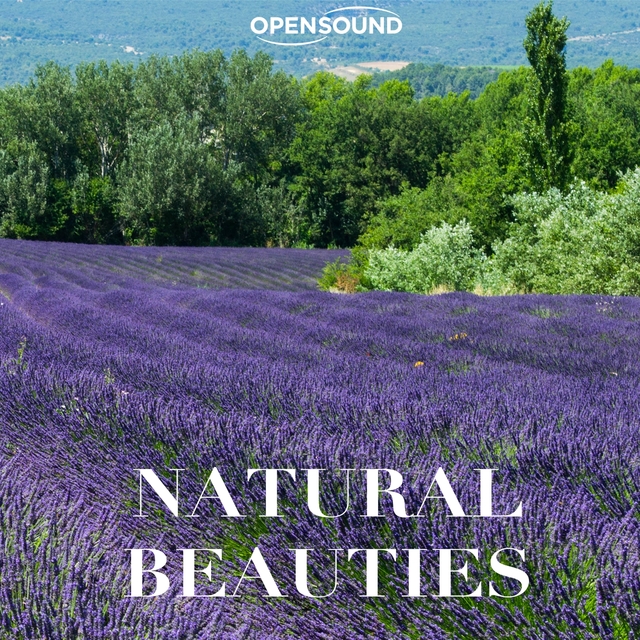 Couverture de Natural Beauties