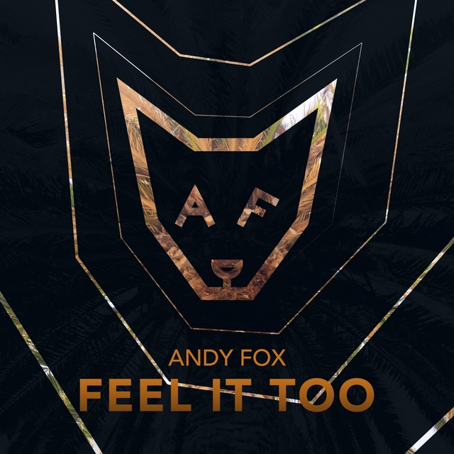 Couverture de Feel It Too