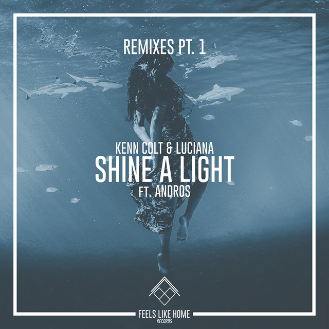 Couverture de Shine a Light