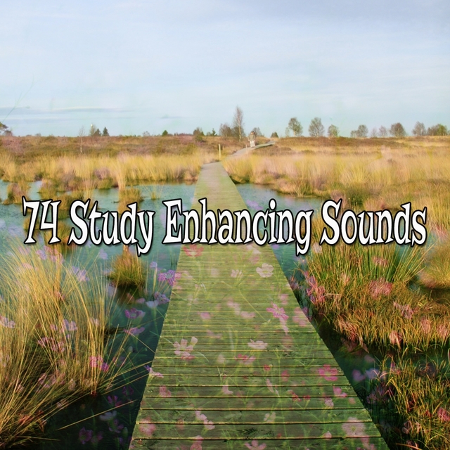 Couverture de 74 Study Enhancing Sounds