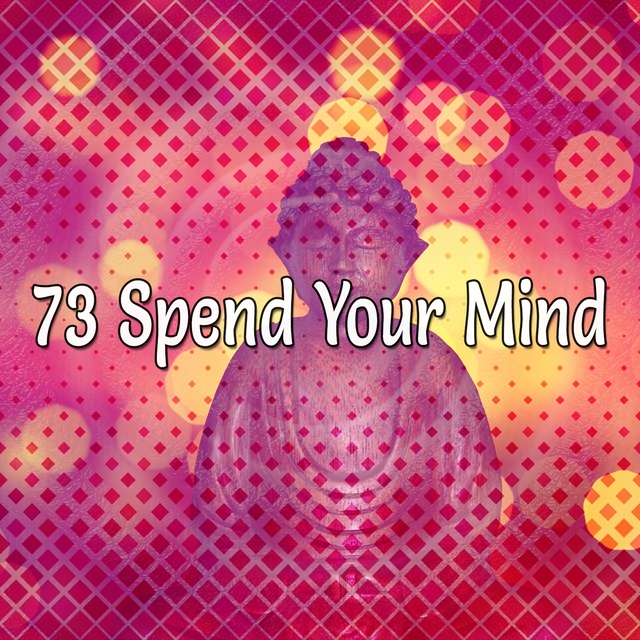 Couverture de 73 Spend Your Mind