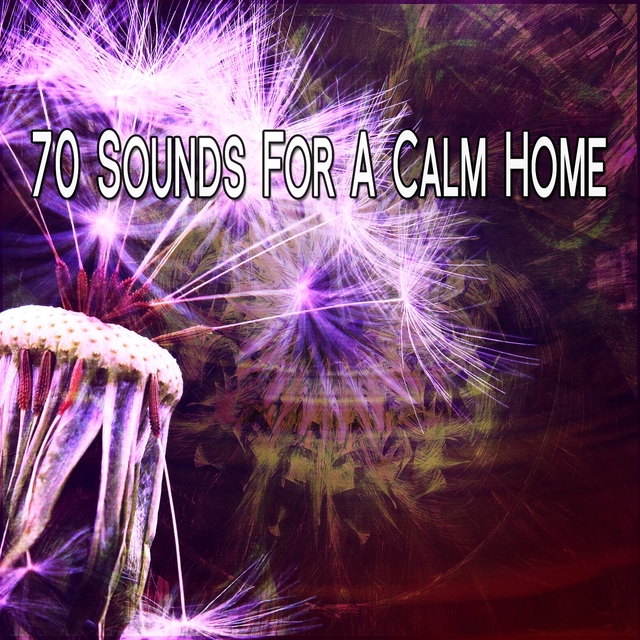 70 Sounds For A Calm Home