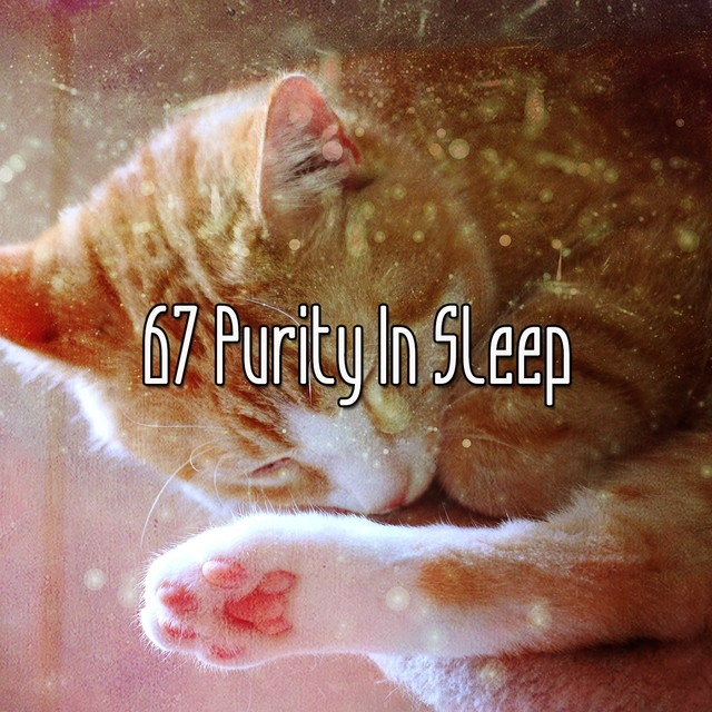 67 Purity In Sleep