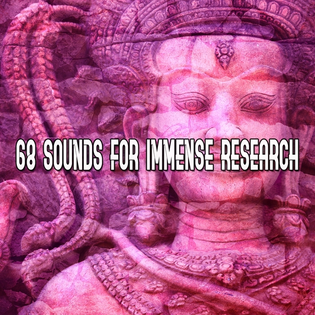 Couverture de 68 Sounds For Immense Research