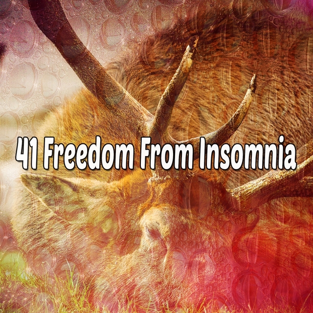 Couverture de 41 Freedom From Insomnia