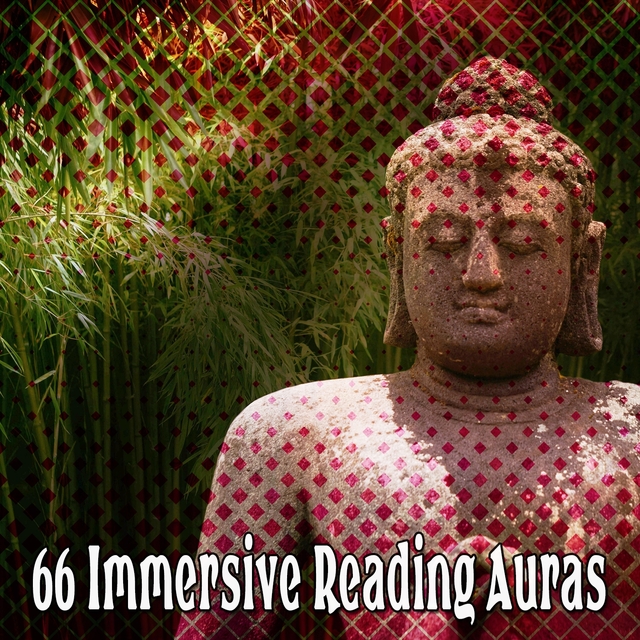 Couverture de 66 Immersive Reading Auras