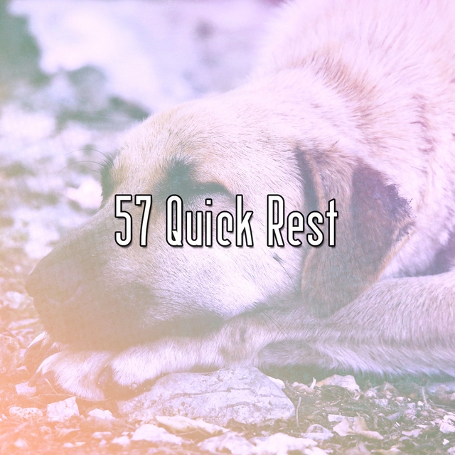 57 Quick Rest