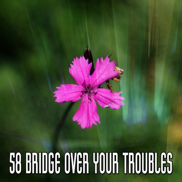 Couverture de 58 Bridge Over Your Troubles