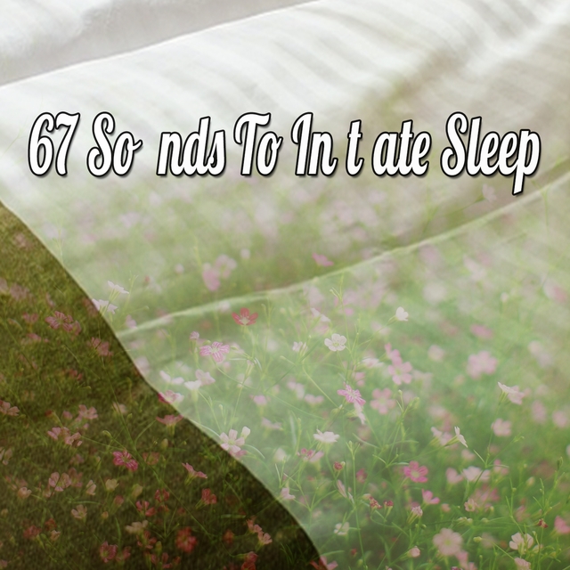 Couverture de 67 Sounds To Initiate Sleep