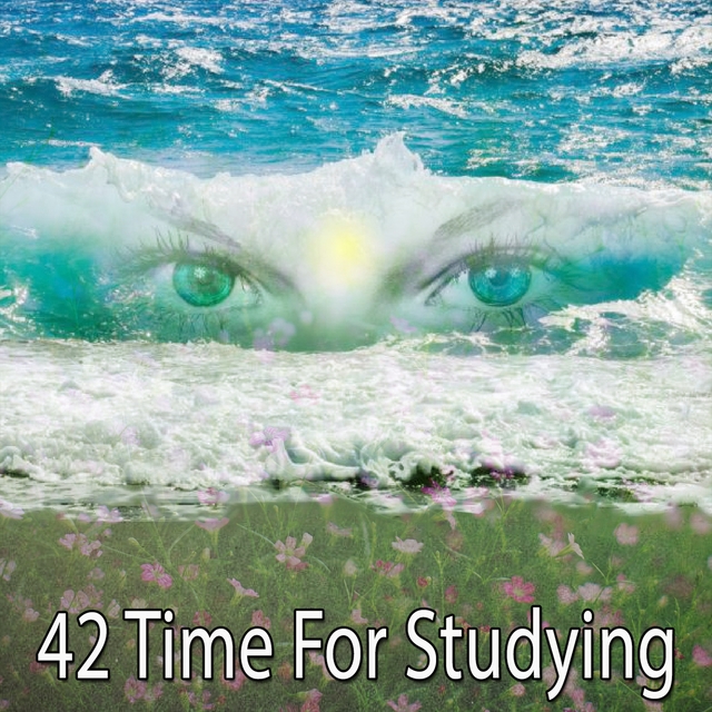 42 Time For Studying