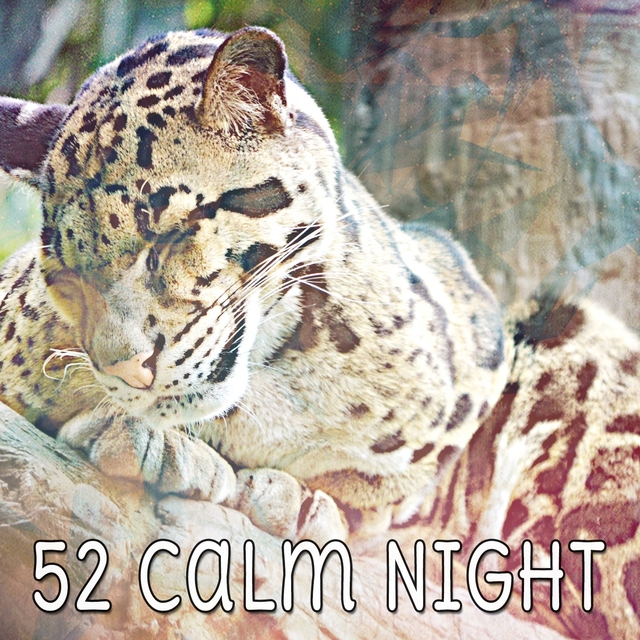 Couverture de 52 Calm Night