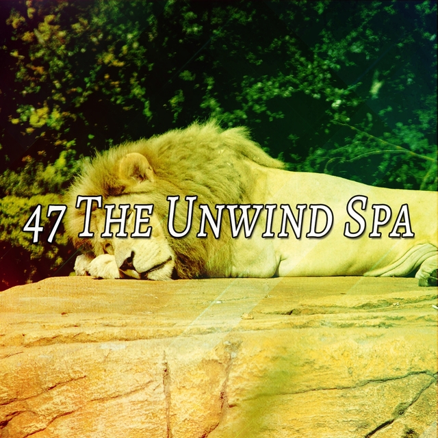 Couverture de 47 The Unwind Spa