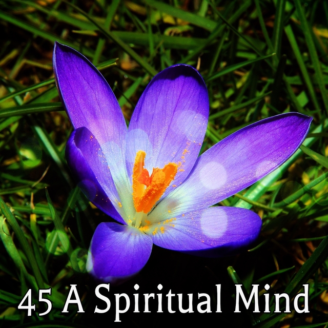 45 A Spiritual Mind