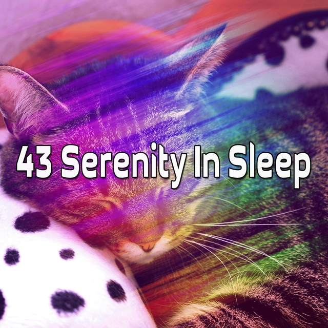 43 Serenity In Sleep