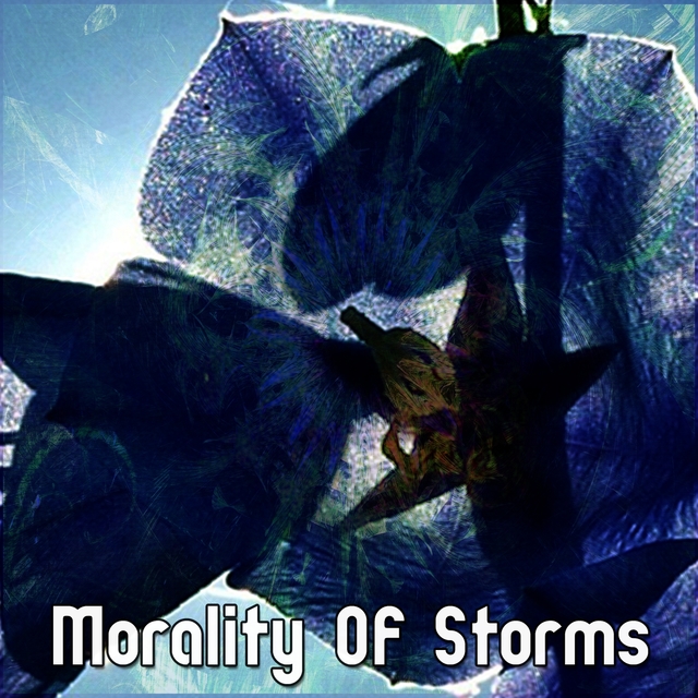 Couverture de Morality Of Storms