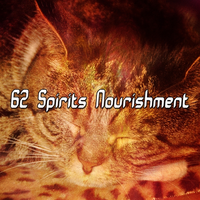 62 Spirits Nourishment