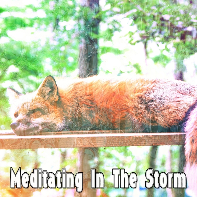 Meditating In The Storm