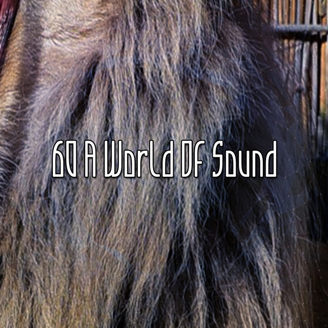 Couverture de 60 A World Of Sound