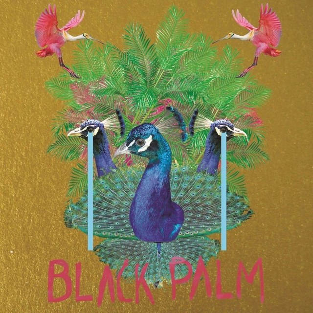 Couverture de Black Palm