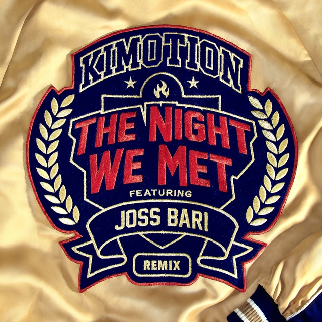 Couverture de The Night We Met Remix