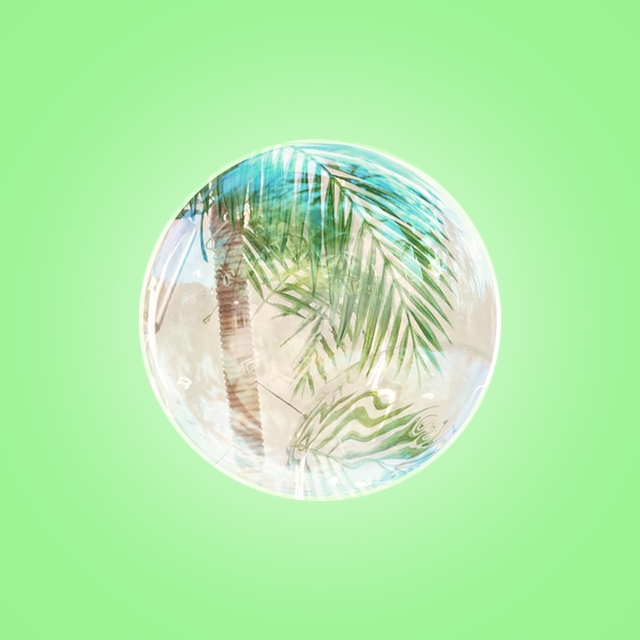 Palms