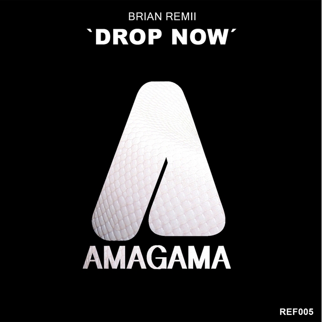 Couverture de Drop Now