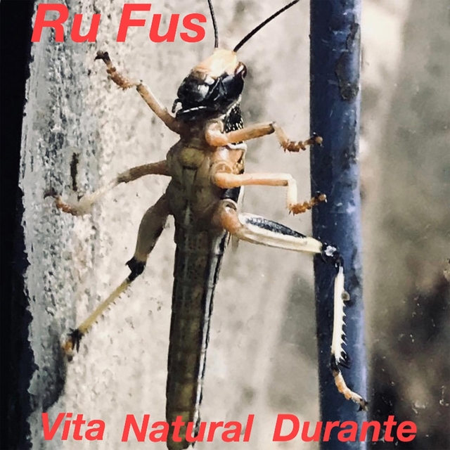 Vita natural durante