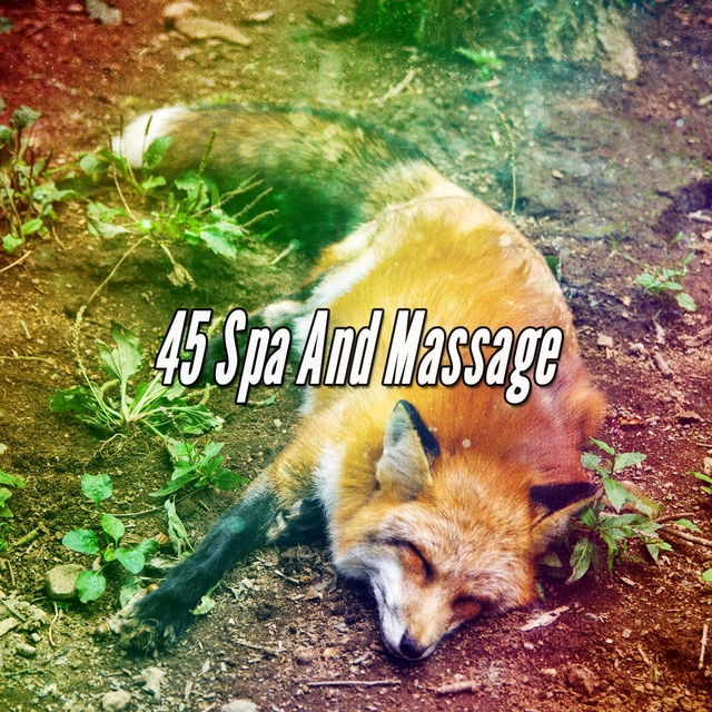 45 Spa And Massage