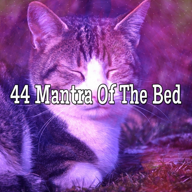 Couverture de 44 Mantra Of The Bed