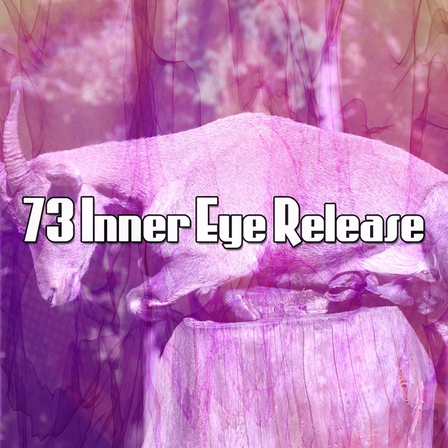 73 Inner Eye Release