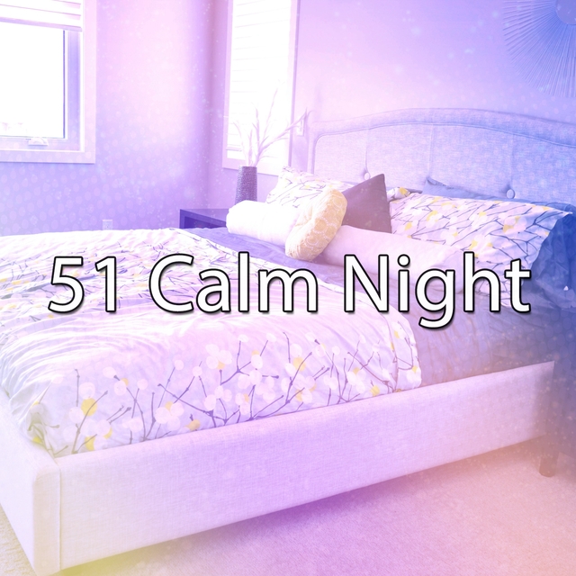 51 Calm Night