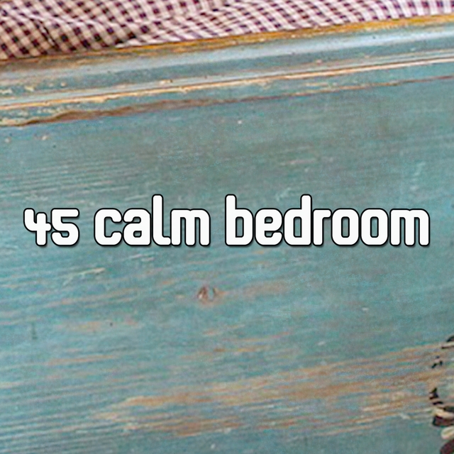 Couverture de 45 Calm Bedroom