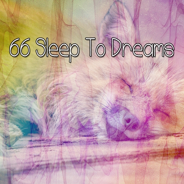 66 Sleep To Dreams