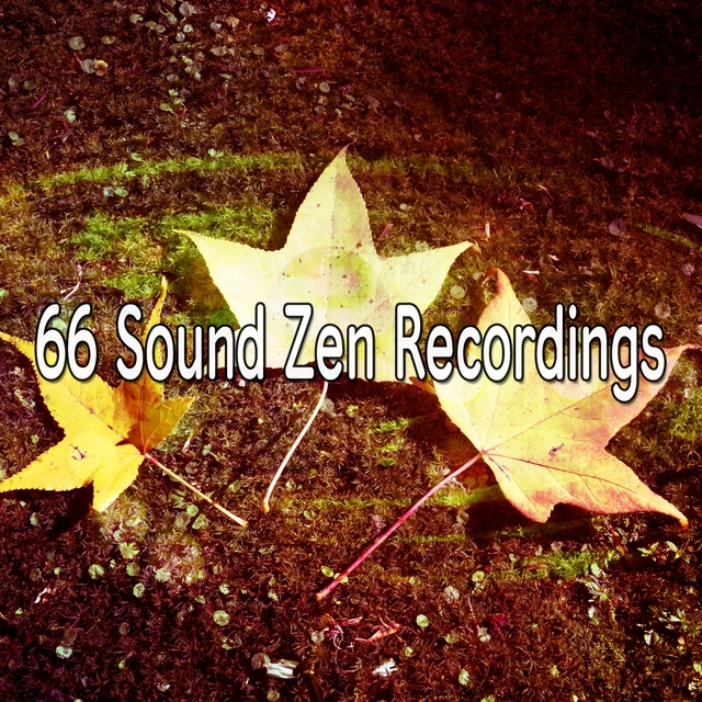 Couverture de 66 Sound Zen Recordings